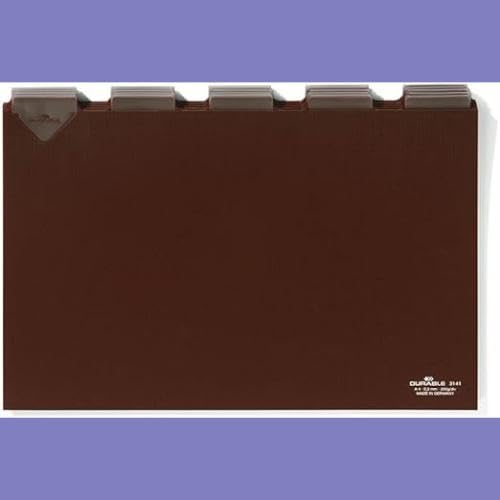 Durable 663319 - Busta intercalare forata, cavalierini colorati, set di etichette bianche e stampate, f.to A4, 12 tasti, foratura universale, trasparente