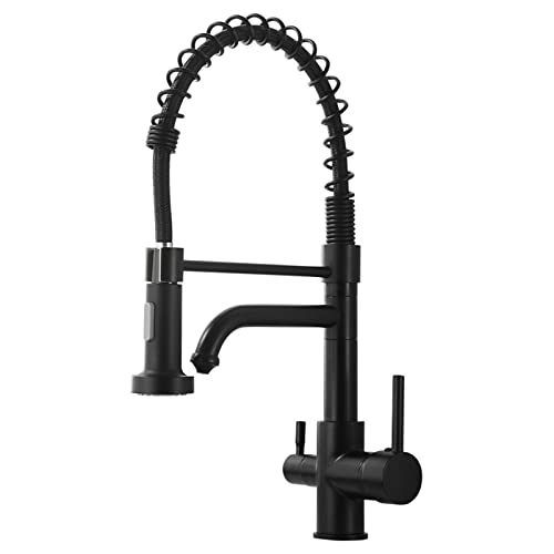 Robinet mélangeur de cuisine pour filtre à eau pour simplifier vos repas