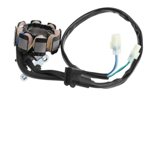 Stator de magnéto durable pour moteur CRF150R conçu pour la compétition
