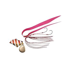 Amazon.co.jp: タイラバ・インチク - ルアー: スポーツ＆アウトドア