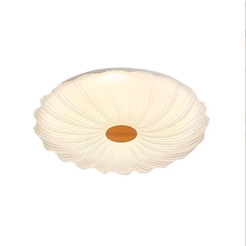 SXYSXYSXY Lámpara LED acrílica para techo de dormitorio, moderna, regulable, con mando a distancia, 47 cm, minimalista, 3000-6500 K, para salón, habitación infantil, pasillo, cocina.