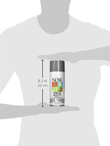 Image of Krylon NOW Spray Paint, Gloss, Gray, 9 oz