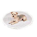 Katzenkratzbaum Teppich Seil waschbar Katze Pad Quaste Spielzimmer Innenausstattung Möbel für Haustiere Wohnung Schlafsaal Terrasse rutschfest Kätzchen Aktivität Teppich