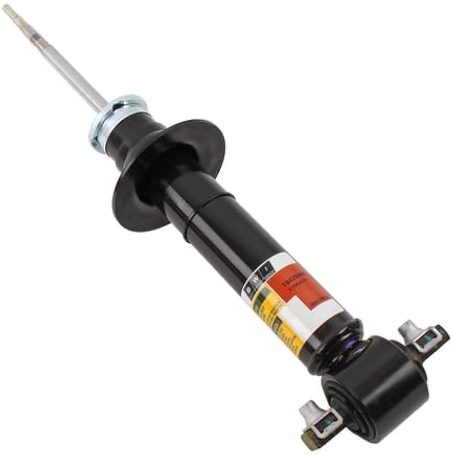 Amazon.com: Acdelco 19420490 Absorber Asmfrt (Slp 1)