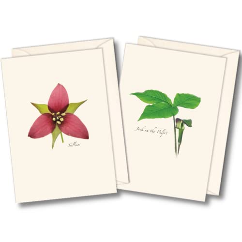 Image of Earth Sky + Water - Wildflower Assortment II Notecard Set - 8 Blank Cards with Envelopes (4 each of 2 styles)