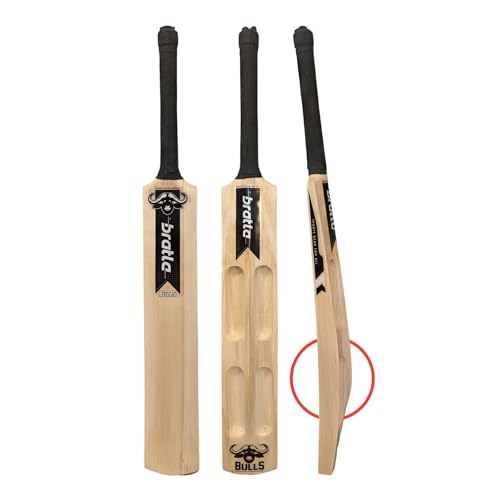 Find The Best Hard Ball Cricket Bats Reviews & Comparison Katynel