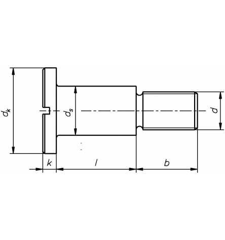 Reidl Flachkopfschrauben mit Schlitz und Ansatz 8 x 8 mm DIN 923 5.8 blank 100 Stück