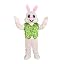 Green Bunny