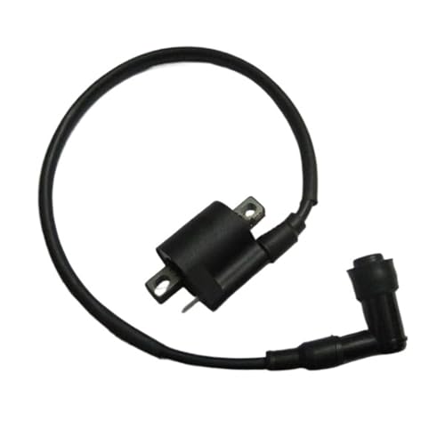 Bobina de encendido eléctrico de motocicleta y scooter 125cc para YBR125 y XT125