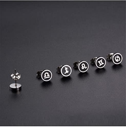 Unisex Stainless Steel 8mm Classic 12 Constellation Zodiac Stud Earrings2