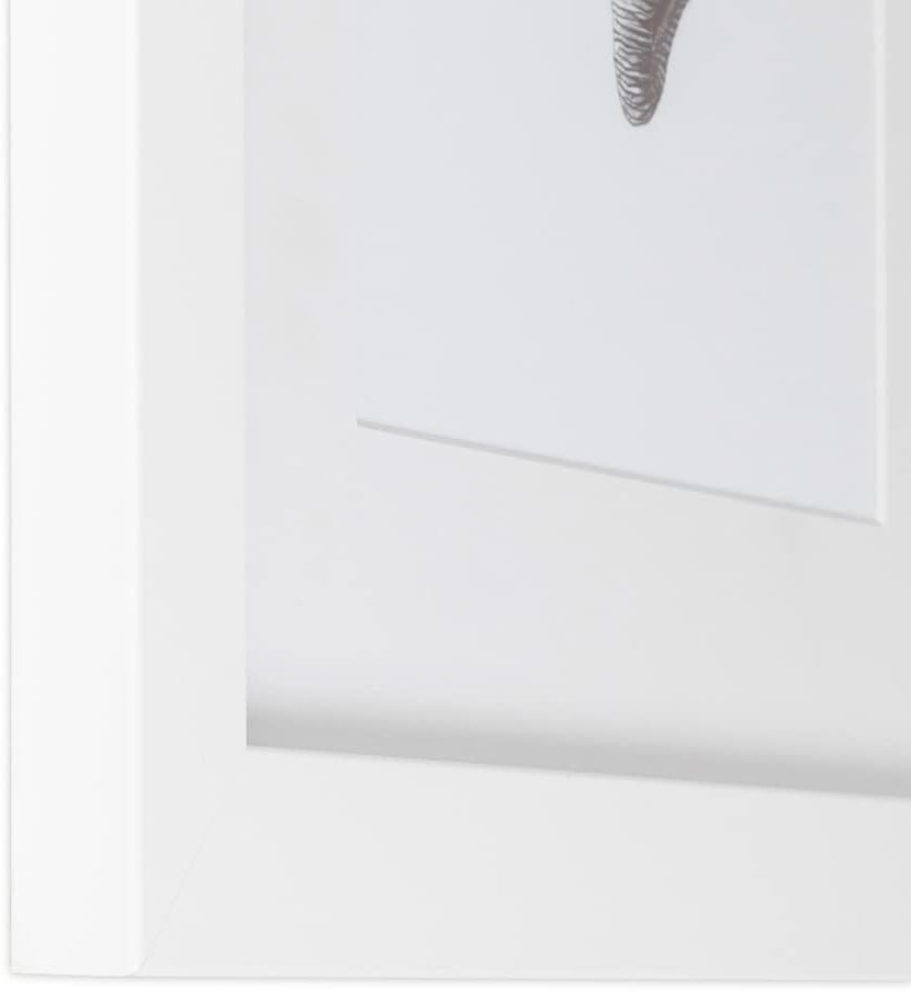 ArtToFrames 8x32 inch Satin White Frame Picture Frame with 2 Inch Single Super White Mat, SingleMat-FRBW26074-8x32-61