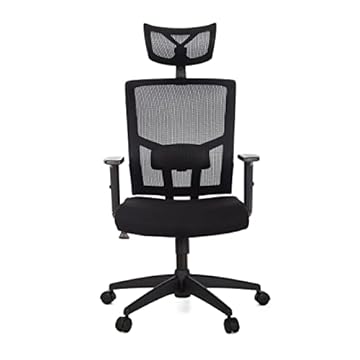 Cadeira Para Escritório Presidente Giratória Ergonômica ANM312 P