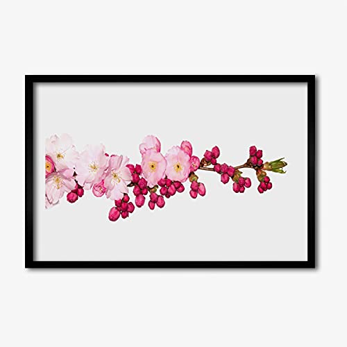 Affiche encadrée 60x40 cm fleur de cerisier avec cadre en MDF noir pour décoration murale de salon