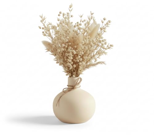 Image of PUREZENTO White 'OVA Bud' Ceramic Vase 4.3 Inches - Pack of 1 | Decorative Vase for Dried Flowers & Pampas Grass | Vases for Modern Home Decor, Living Room, Office Decor Ideas