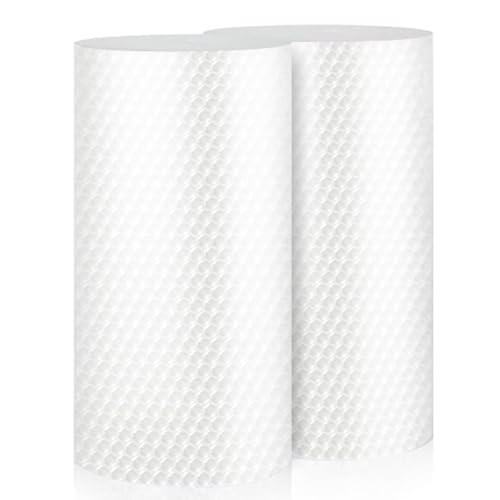 High-PQ Luftpolsterfolie Rolle - Besonders reißfeste und transparente Noppenfolie als Schutz für Paketversand Post und Umzug (2 Rolle 30cm x 10m)