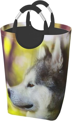 AXJ}~[g {P ꂽ̂ ꂽ ܂肽 [h[{bNX ܂ݎ[{bNX ĕt ی^ oX[̂߂̒E߂ ϋv t h[