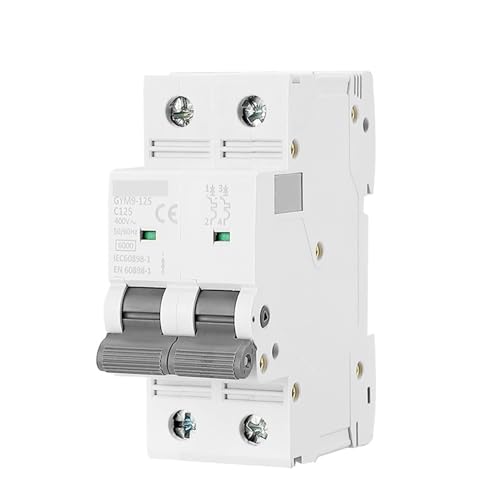 Mini disjoncteur biphasé 125A 2P 400V pour rénovation électrique