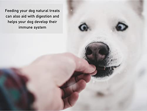 Split Antler Dog Chews Large x 1 (Weight, 75, 112g) - Image 4