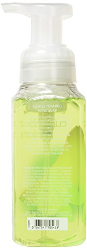 Bath & Body Works Gentle Foaming Hand Soap, Cucumber Melon thumb #1