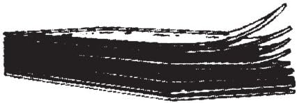 WINDSHIELD BLANKS SMOKE