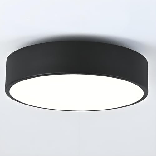 Image of 2-Light Modern Black Flush Mount Ceiling Light 11.8 Inch