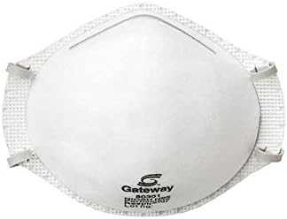 Gateway Safety 80301EA002 80301 TruAir Unvented N95 Particulate Respirator, Regular, White (Pack of 2)