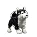 SHUYANshiyu Jouets en Peluche De Chien Réel Peluche Debelle Debelle Chihuahua Alaska Malamute Saint Bernard Farcée Animal Toy Cadeaux (Color : Alaskan Malamute, Height : 20cm-30cm)