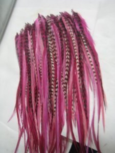 Feather Hair Extension 6-10 Pink with Grizzly and Brown Feathers That Are Quality Salon