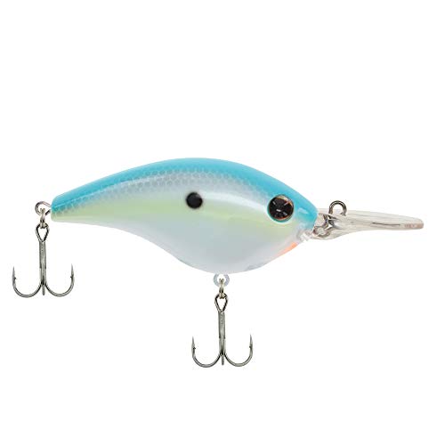Berkley Frittside Fishing Lure, Sexy Back, 3/7 oz, 2 1/2in | 6 2/5cm Crankbaits, Classic Flat Side Profile Mimics Variety of Species and Creates Flash, Equipped with Sharp Fusion19 Hook