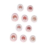 Holibanna 10piezas Conchas de Erizo de Mar Naturales para Decoración Artesanal y Macetas para Plantas de Aire para Adornos de Mar y Manualidades Color Aleatorio