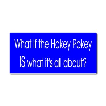 GRAPHICS & MORE What If The Hokey Pokey is What It's All About - Window Bumper Sticker