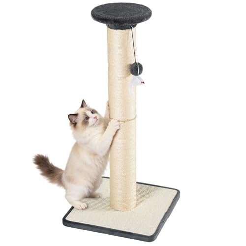 Rascador para gato resistente con poste y base de madera miniatura 1