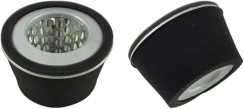 エアフィルター とEY20 for ロビンエンジン エアフロークリーナー2273261007 フィルターエレメント(2piece) [並行輸入品]
