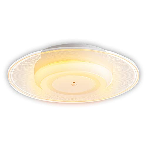 アイリスオーヤマ 小型シーリングライト 導光板 750lm 人感センサー付 電球色 SCL-75LMS-LGP