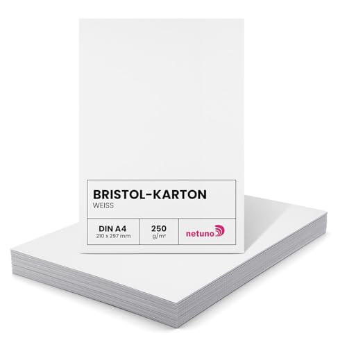 Netuno 100 Blatt Bristol-Karton Weiß DIN A4 21 x 29 7 cm 250g Bristol dickes Papier a4 zum Drucken Basteln Zeichenkarton Tonkarton Fotokarton Urkundenpapier weißes Kartonpapier Kreativkarton