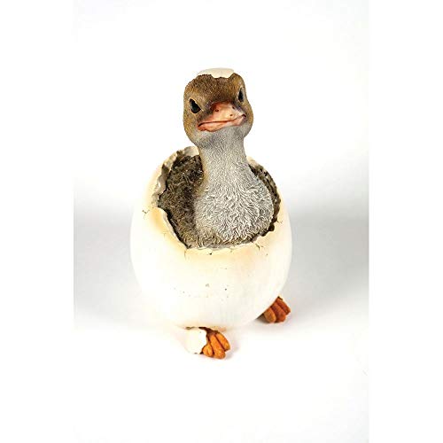 Preisvergleich Produktbild Garden Creations Straußen-Figur für den Außenbereich, 23 cm hoch