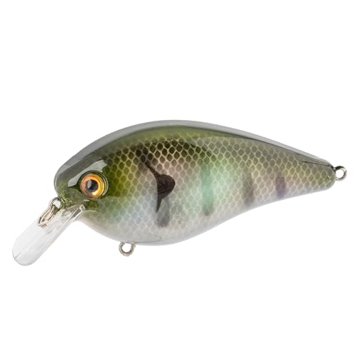 Strike King KVD Elite 8.0 Squarebill, The Real Gill by Strike King - Used condition - Image 3