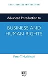Advanced Introduction to Business and Human Rights (Elgar Advanced Introductions series)