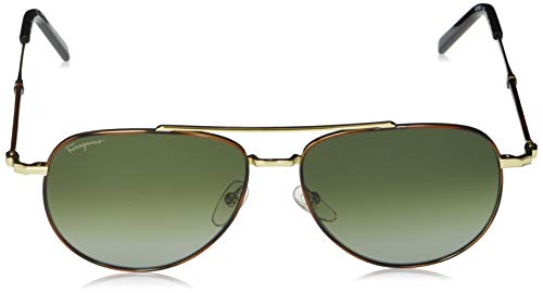 Salvatore Ferragamo SF226SM Tortoise/Gold One Size2