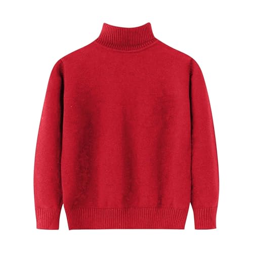 Kids Boys Girls Turtleneck Long Sleeve Knit Sweater Relaxed Fit Knitted Pullover Tween Solid Sweater Knit Top for Fall Winter