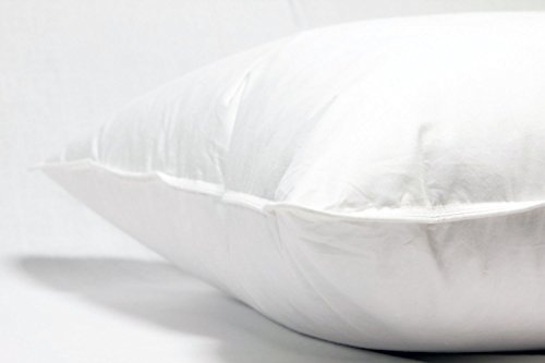 Image of LINENWALAS White Feather and Goose Down Pillow With Protector, 50 /50 Fill, Set of 1 (17x27 Inch)