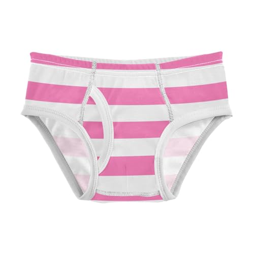 White Pink Stripe Toddler Boy's Underwear 2T
