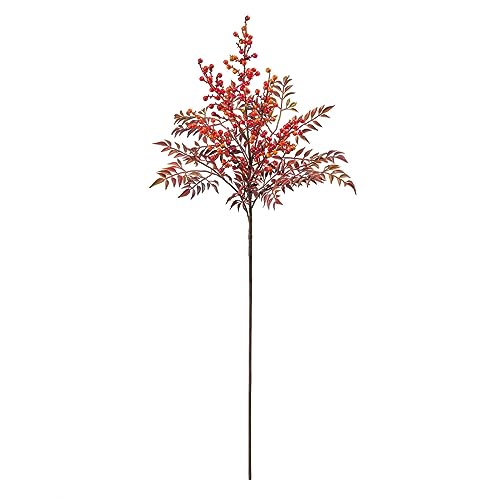 ������ ���� MAGIQ �i���f�B�i�x���[�u�����` �I�����W���b�h L93cm FM007010-003