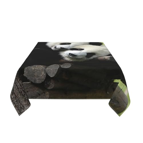 Nappe carrée panda 152x152 cm imperméable pour table à manger - 8