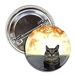 Funny Nuclear Explosion Cat Meme Button Pinback, 1.5 inches