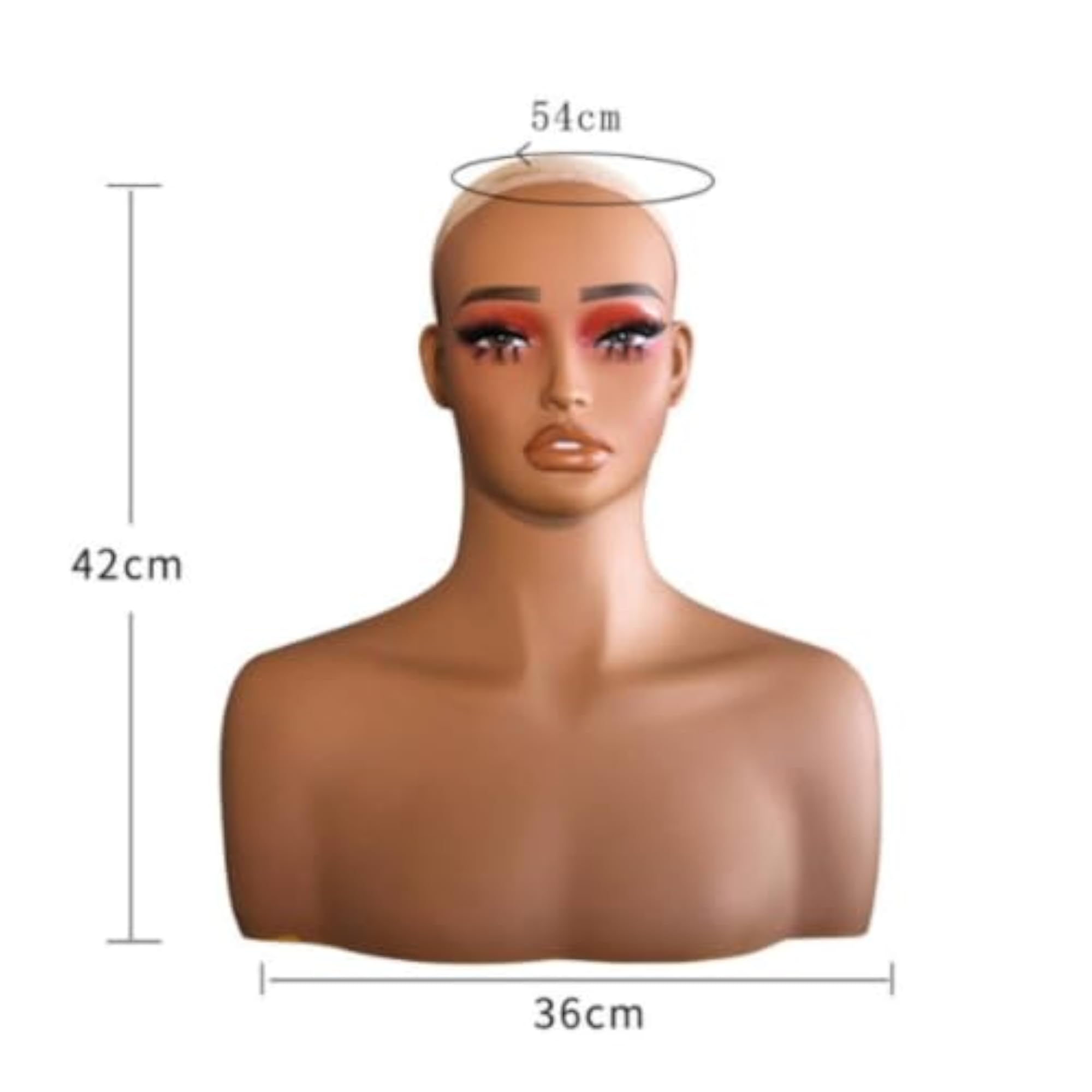 Realistic Makeup Head with Shoulders Display Model