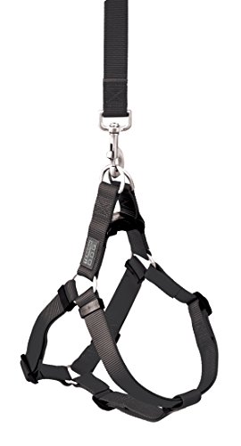 Terrain D.O.G. Nylon Dog Harness