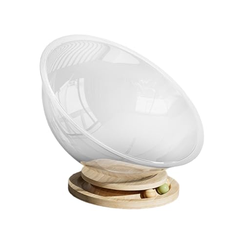 Lit pour chat capsule spatiale transparente taille milieu pour chaton - 2