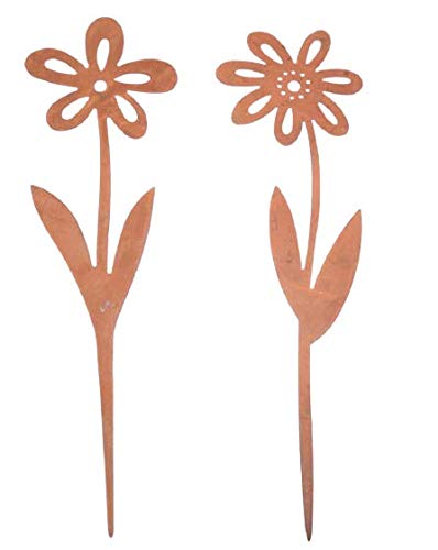 Blumenpaar 2-er Set, Edelrost, 25 cm Cover