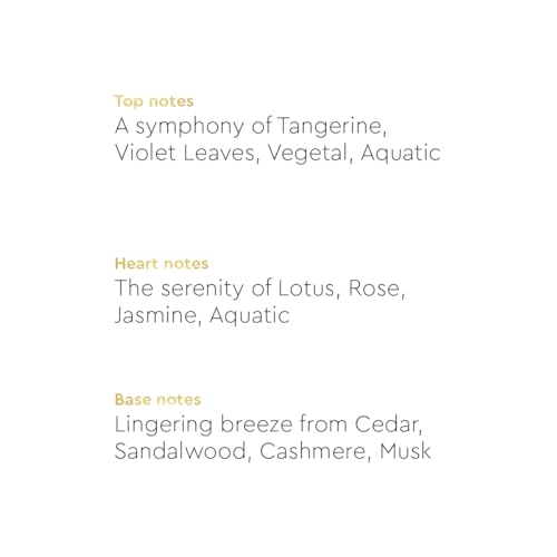 Image of VLCC Clinic Body Mist inchQueen Bee inch - 200ml | Fresh, Woody, Citrusy Fragrance | Long Lasting Body Mist | Long Lasting Fragrance | Symbol of Elegancy | Paraben Free